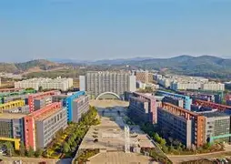 昆明黄语芊游泳少年比赛名次